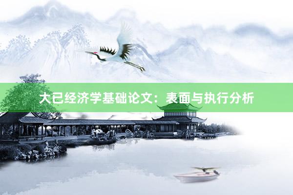 大已经济学基础论文：表面与执行分析